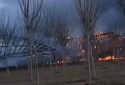 济南大棚爆料事件最新,揭开农业领域黑幕的真相揭露