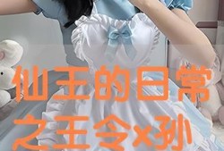 poyno在线观看,在线观看的奇幻之旅