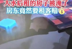 爆料房子被淹了视频大全,家园受损，共渡难关