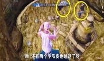 爆料老乔视频大全集在线观看,视频大全集在线观看，精彩瞬间一网打尽