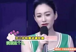 李小冉最新爆料谢娜视频,视频爆料引发热议