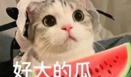 吃瓜网红照片高清图大全,高清图集大揭秘