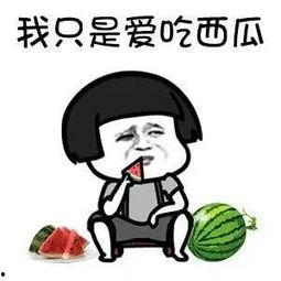 娱乐圈吃瓜动画片有哪些,揭秘那些令人捧腹的吃瓜动画片