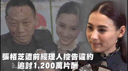 娱乐吃瓜是真是假视频,真假视频背后的真相大起底