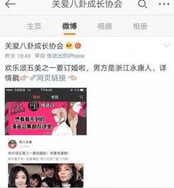 娱乐吃瓜虐文,幕后黑手与甜蜜复仇的虐恋风云